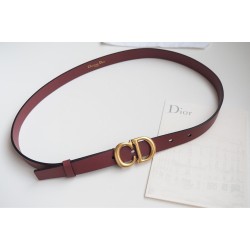 Cinturón de Lujo Exclusivo - Modelo 776