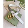 Cinturón Gucci Exclusivo - Modelo 827