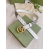 Cinturón Gucci Exclusivo - Modelo 830