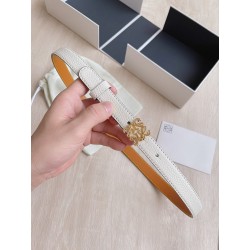 Cinturón de Lujo Exclusivo - Modelo 877