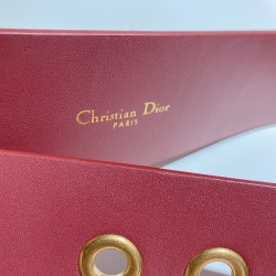 Cinturón de Lujo Exclusivo - Modelo 955