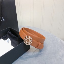Cinturón de Lujo Exclusivo - Modelo 1162