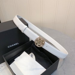 Cinturón de Lujo Exclusivo - Modelo 1164