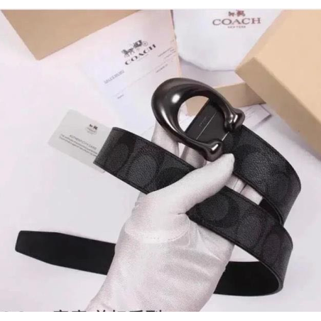 Cinturón de Lujo Exclusivo - Modelo 1508