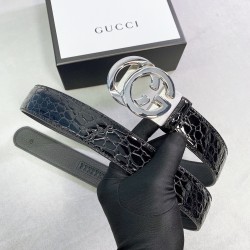 Cinturón Gucci Exclusivo - Modelo 1556