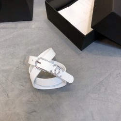 Cinturón de Lujo Exclusivo - Modelo 1634