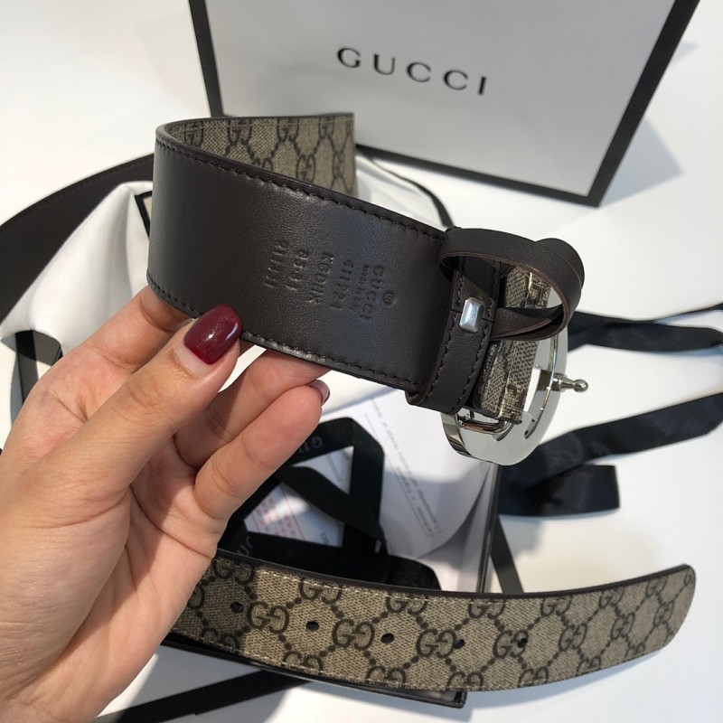 Cinturón Gucci Exclusivo - Modelo 1703