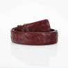 Cinturón Burberry Exclusivo - Modelo 2439