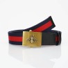 Cinturón Gucci Exclusivo - Modelo 2488