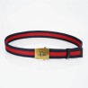 Cinturón Gucci Exclusivo - Modelo 2488