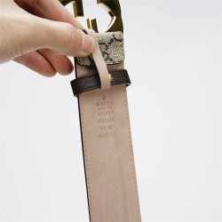 Cinturón Gucci Exclusivo - Modelo 2548