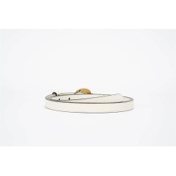 Cinturón Gucci Exclusivo - Modelo 2756