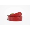 Cinturón Gucci Exclusivo - Modelo 2838