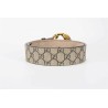 Cinturón Gucci Exclusivo - Modelo 2841