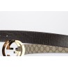 Cinturón Gucci Exclusivo - Modelo 2984