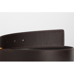 Cinturón de Lujo Exclusivo - Modelo 3001