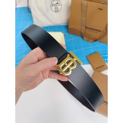 Cinturón de Lujo Exclusivo - Modelo 310